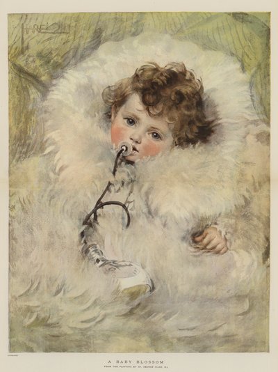 Een babybloesem door St. George Hare