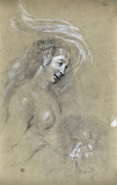 Studie van profiel van vrouw door Stanislas Torrents y de Amat