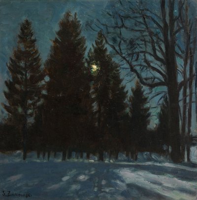 Winternacht, 1931 door Stanislav Julianovic Zukovskij