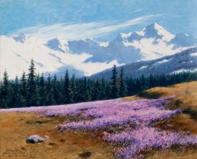 Krokussen met Besneeuwde Bergen op de Achtergrond door Stanislaw Ignacy Witkiewicz