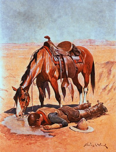 De waterput door Stanley L. Wood