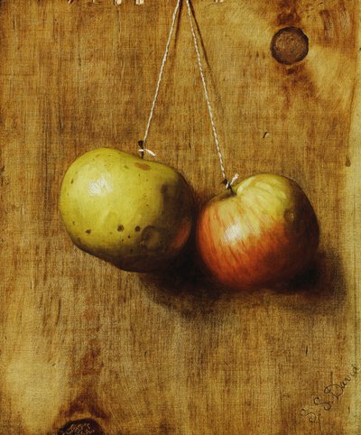 Hangende appels door Stanley S. David