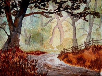 Het betoverde woud door Steegs Art Karin