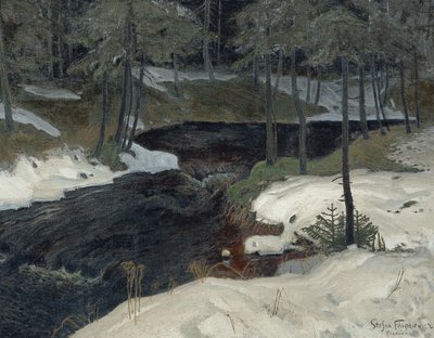 Bergstrom door Stefan Filipkiewicz