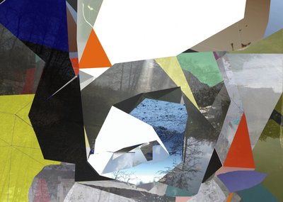 Collage van geometrische natuur door Stefan Fransson