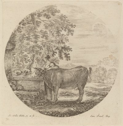 Koe en Jonge Herder bij een Fontein door Stefano della Bella