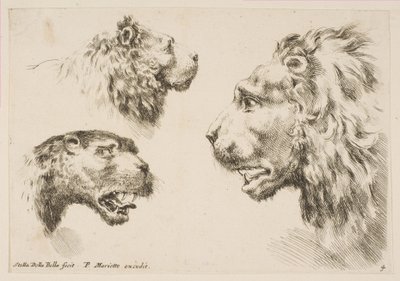 Hoofden van drie leeuwen, ca. 1641 door Stefano della Bella