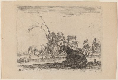 Paarden in een Weide door Stefano della Bella