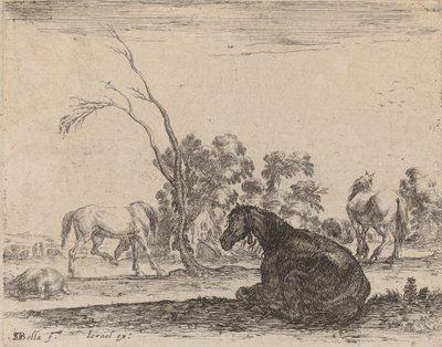 Paarden in een weiland door Stefano della Bella