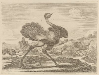 Struisvogeljacht door Stefano della Bella
