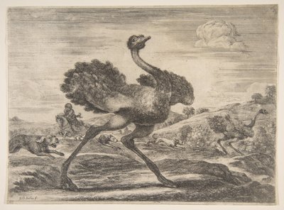 Struisvogeljacht, uit Dierenjachten, ca. 1654 door Stefano della Bella