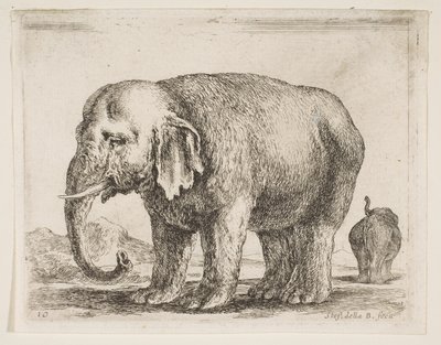 Plaat 10: olifant, uit Diverse dieren Diversi animali, ca. 1641 door Stefano della Bella