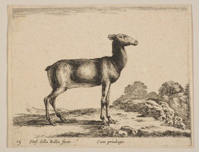 Plaat 15: hert, uit 