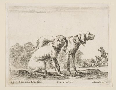 Plaat 23: twee honden, uit Diverse dieren Diversi animali, ca. 1641 door Stefano della Bella