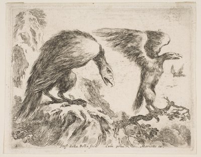 Plaat 2: adelaar en arend, uit Diverse dieren door Stefano della Bella