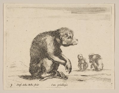 Plaat 3: zittende aap, uit Diverse dieren Diversi animali, ca. 1641 door Stefano della Bella