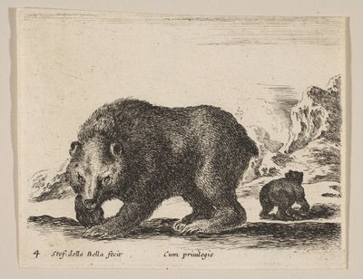 Plaat 4: beer, uit 