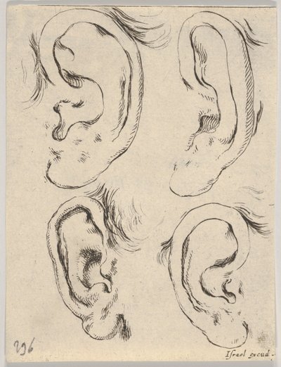Plaat 5: vier oren, uit Het boek om te leren tekenen Livre pour apprendre à dessiner, ca. 1649 door Stefano della Bella