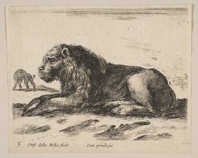 Plaat 5: liggende leeuw, uit Diverse dieren Diversi animali, ca. 1641 door Stefano della Bella