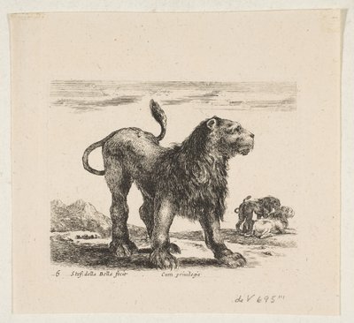 Plaat 6: leeuw, uit 