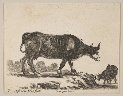 Plaat 7: koe, uit Diverse dieren, ca. 1641 door Stefano della Bella