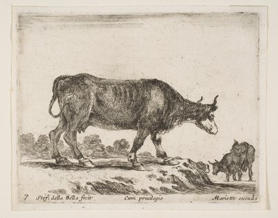 Plaat 7: os, uit Diverse dieren Diversi animali, ca. 1641 door Stefano della Bella