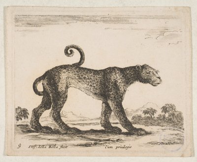 Plaat 9: luipaard, uit 
