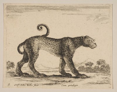 Blad 9: luipaard, uit Diverse dieren Diversi animali, ca. 1641 door Stefano della Bella