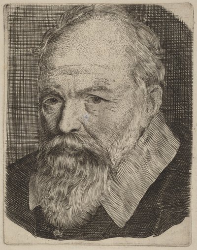 Portret van een man door Stefano della Bella