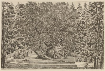 De bewoonde boom, waarschijnlijk 1653 door Stefano della Bella