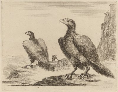Twee adelaars, beide met hoofden naar links gedraaid, op een hoge klif door Stefano della Bella