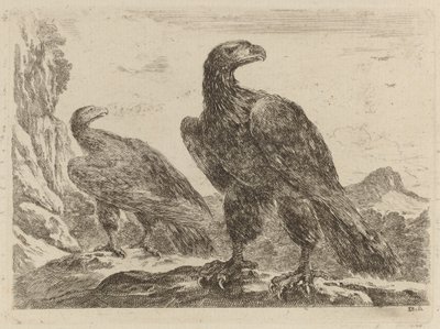 Twee Adelaars, Beiden met Hoofd naar Rechts Gekeerd door Stefano della Bella