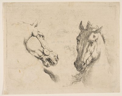 Twee paardenhoofden door Stefano della Bella