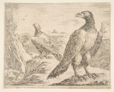 Twee adelaars, uit Adelaars Les aigles, ca. 1651 door Stefano della Bella