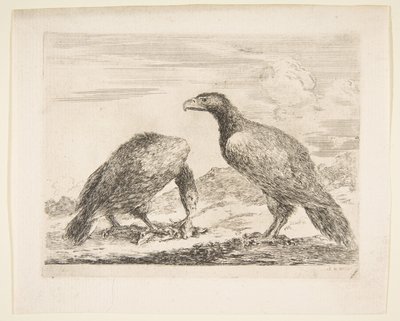Twee adelaars, één die een lam verslindt, uit Adelaars, ca. 1651 door Stefano della Bella