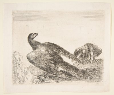Twee adelaars, een met prooi, uit Adelaars Les aigles, ca. 1651 door Stefano della Bella