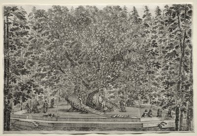 Gezichten van de Villa van Pratolino: De Bewoonde Boom door Stefano della Bella