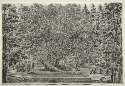 Zichten van de Villa van Pratolino: De bewoonde boom door Stefano della Bella