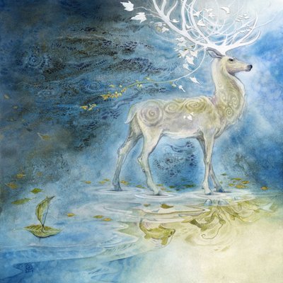  door Stephanie Law