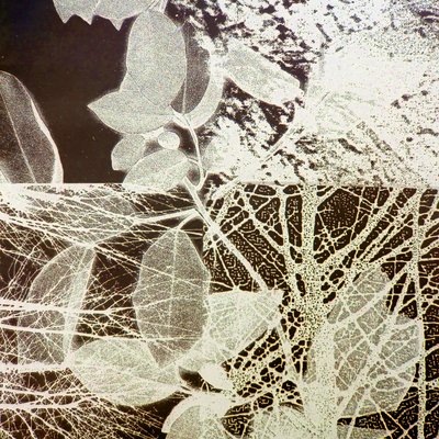 Nachtbos, 2018 (digitaal) door Stephen Dow
