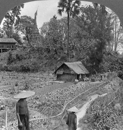 Een moestuin te midden van pagodes, Bhamo, Birma door Stereo Travel Co