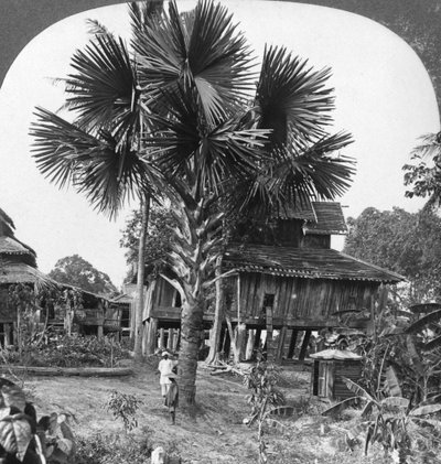 Inheems huis gebouwd op palen, Bhamo, Birma, 1908 door Stereo Travel Co