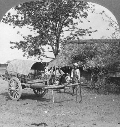 Dorp huis gebouwd van bamboe en bladeren, Birma, 1908 door Stereo Travel Co