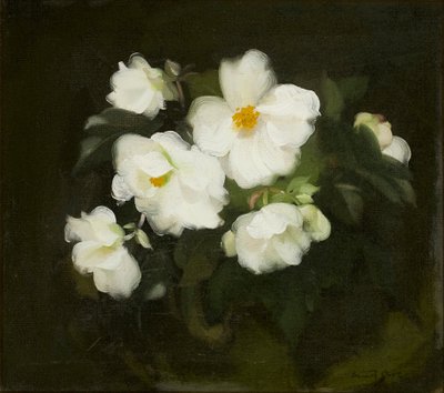 Witte rozen door Stuart Park