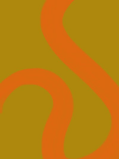 Vloeibare oranje lijnen door Studio Palette