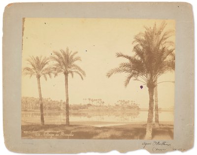 Dorp van Memphis, Egypte, ca. 1898-1920 door Studios Tiffany