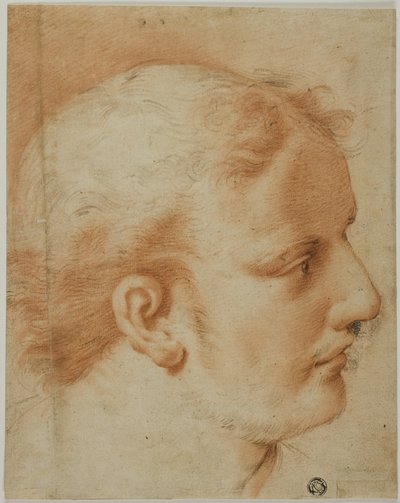 Hoofd van jonge man, in profiel naar rechts door Style of Benedetto Luti