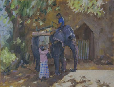 Olifant, Sri Lanka, 2015 door Sue Wales