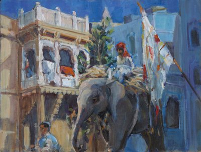 Olifant in Jodhpur door Sue Wales