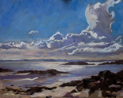 Laat in de middag in Galloway door Sue Wales